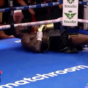 �������������