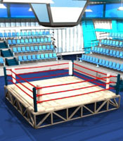 A boxing ring637375739445743686.jpeg