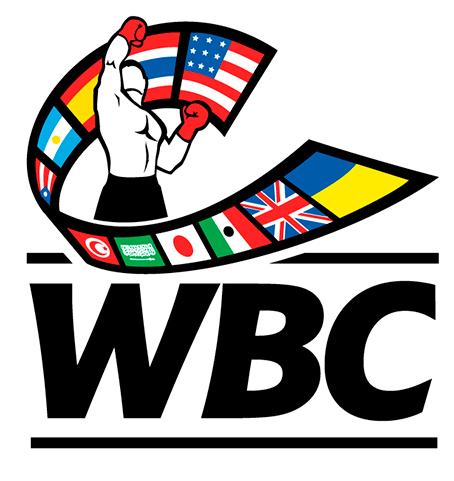 WBC 2025 Logo638736374165831164.jpg