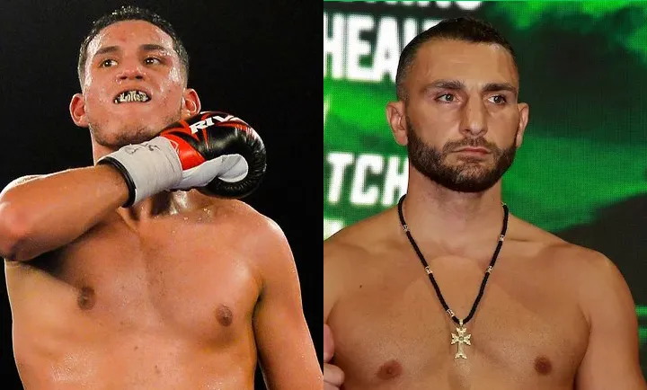 Benavidez_Mikaelian_��ͼ��.jpg