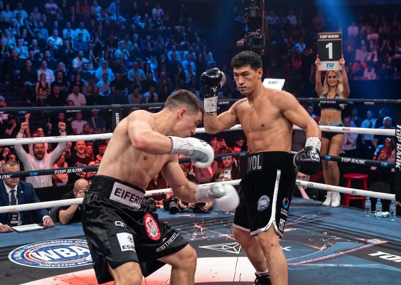 Bivol-vs-Eifert553.jpg_��ͼ��.jpg