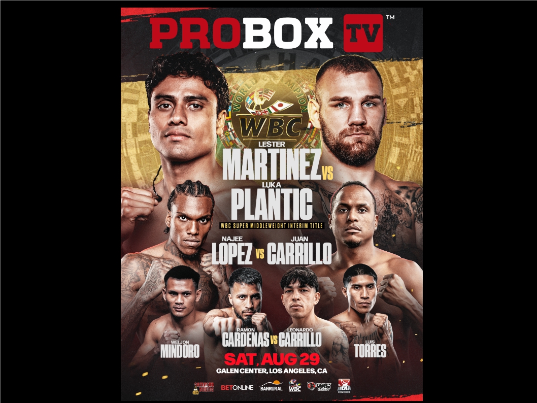 ProBox-7.jpg