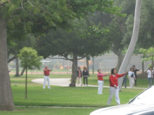 �����ڲݵ������㲥��٣�������Զ�Ǿ�ͷ�����ĵģ�����������