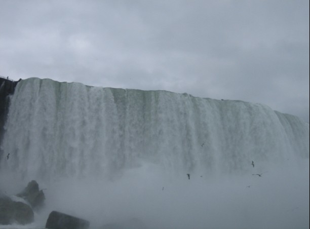 ���δ��Ͽ������ٲ�